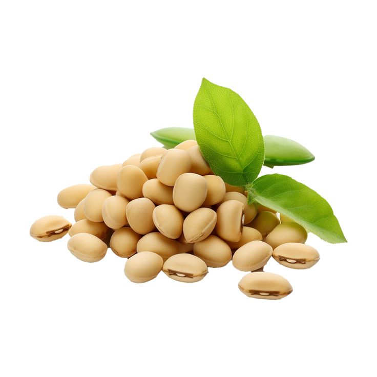 How to Choose the Right Iranian Soybean Type for Your Market?
